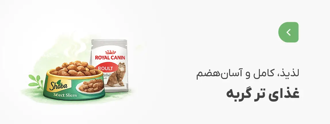 غذای تر گربه