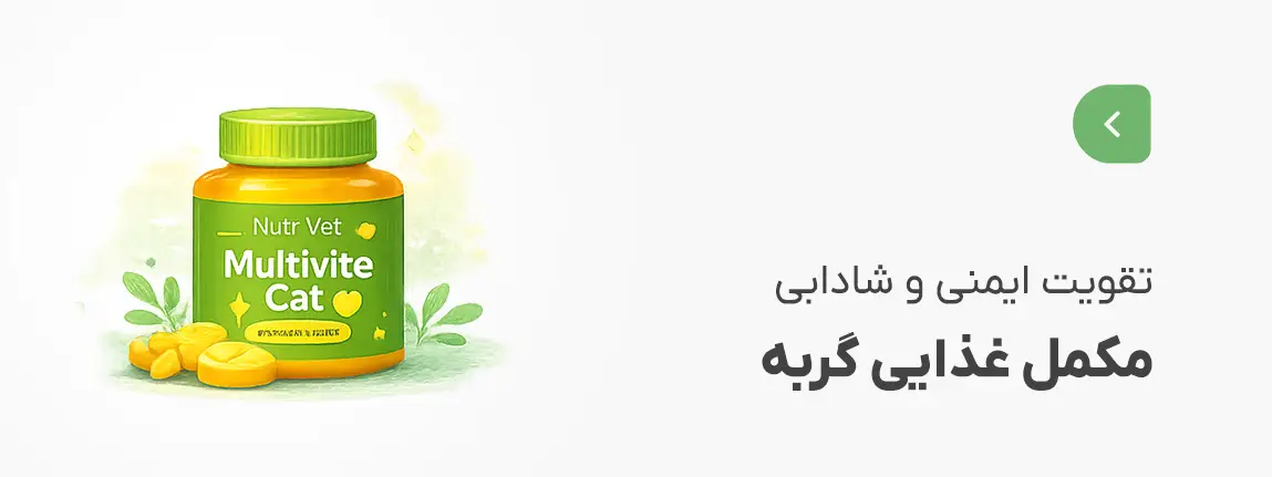 مکمل غذایی گربه