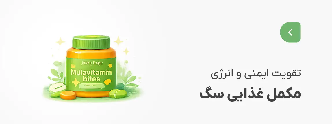 مکمل غذایی سگ