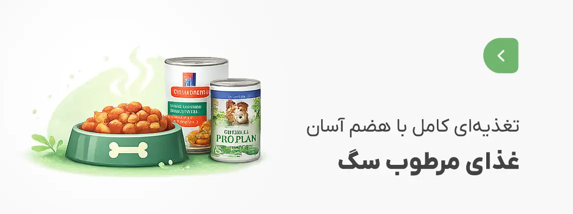 غذای تر سگ
