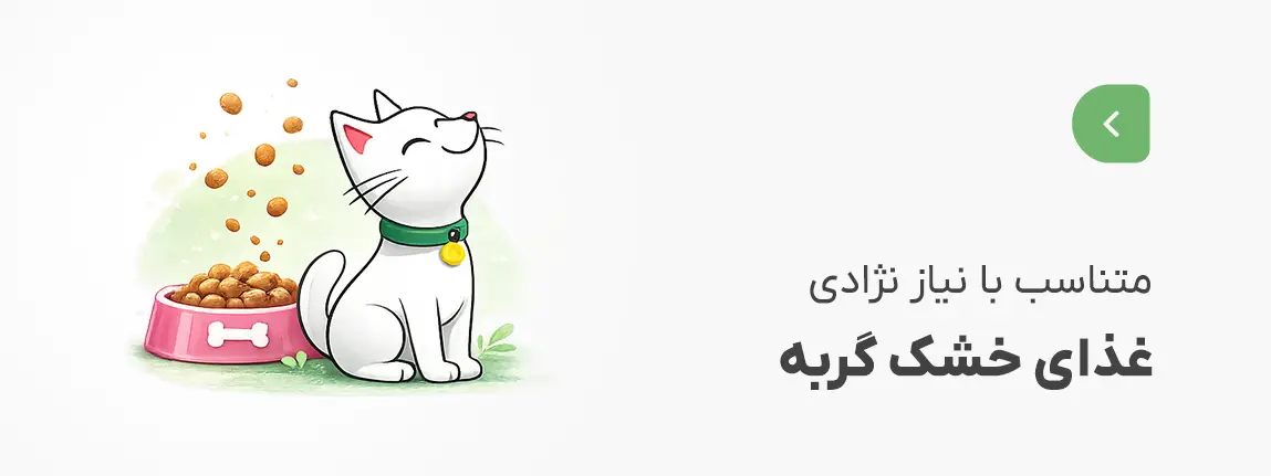 غذای خشک گربه