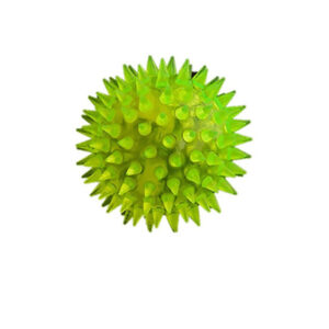توپ بازی سگ و گربه